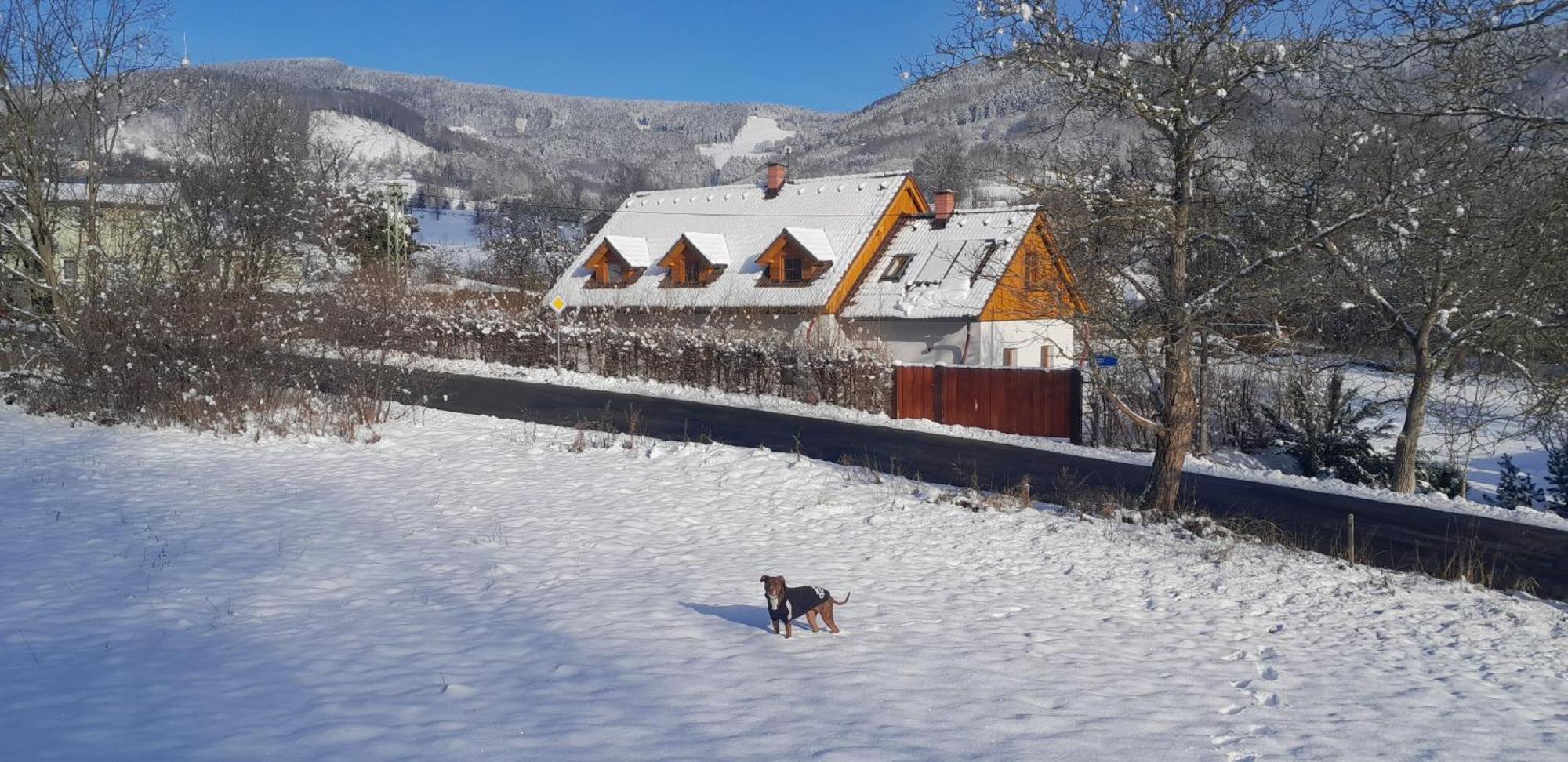 Apartman Pod Jestedem Svetla pod Jestedem Exteriér fotografie